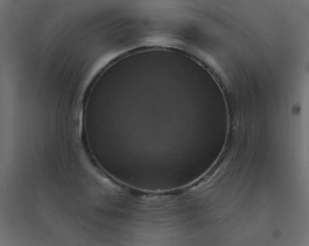 X0000094461323200711211532