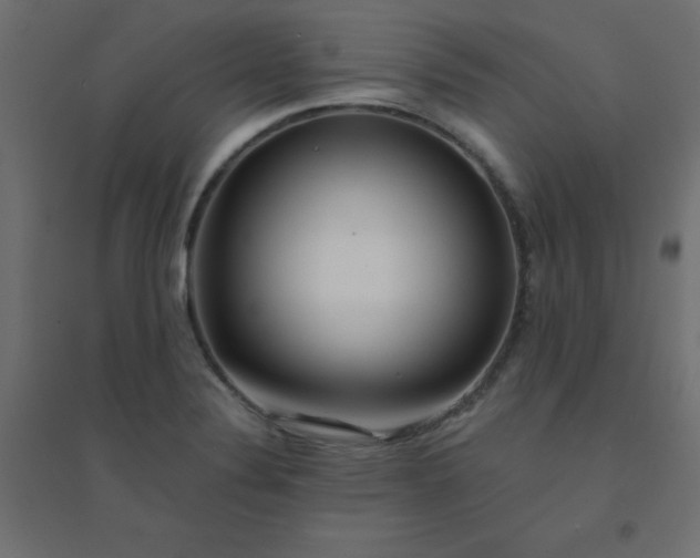 X0000094461324200711211532