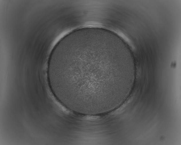 X0000094461325200711211532