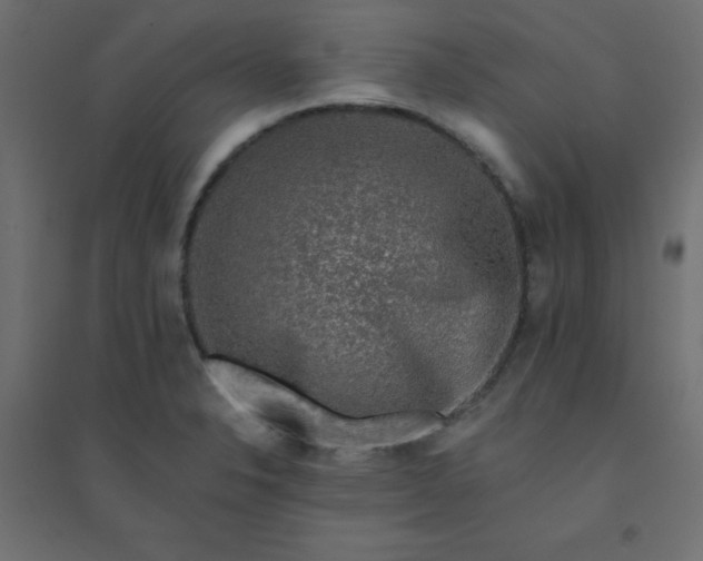 X0000094461326200711211532
