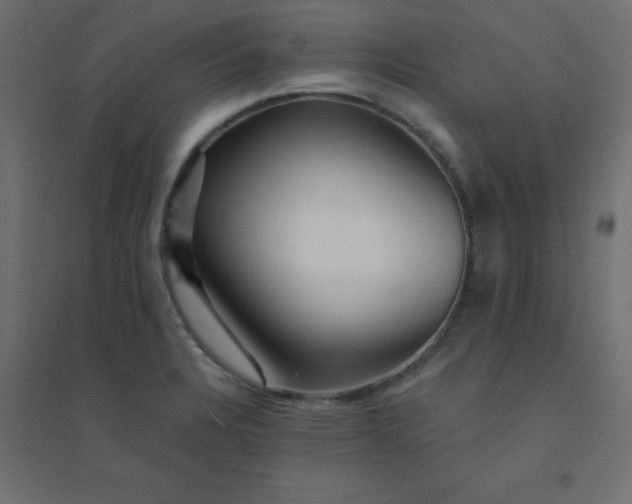 X0000094461328200711211532