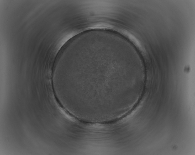 X0000094461329200711211532