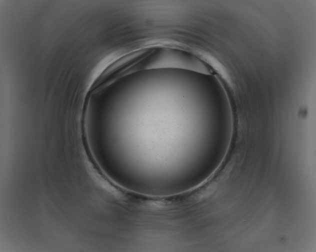 X0000094461330200711211532