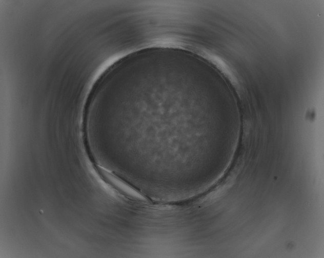 X0000094461331200711211532