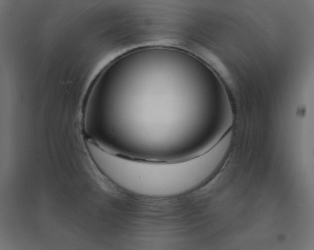 X0000094461332200711211532