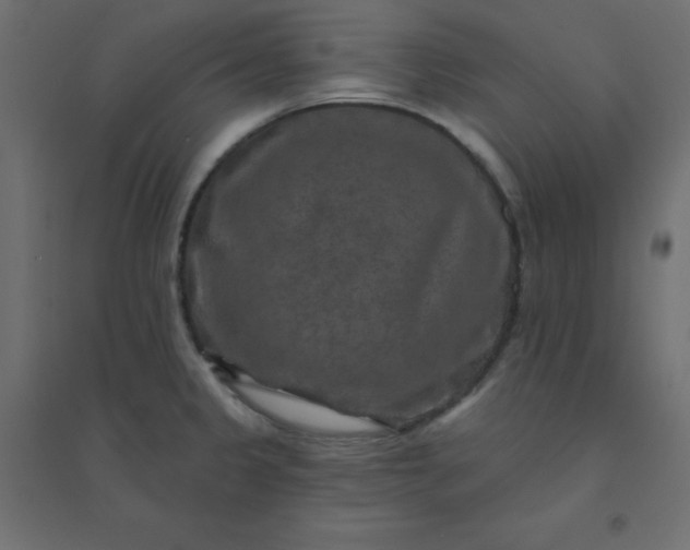 X0000094461333200711211532