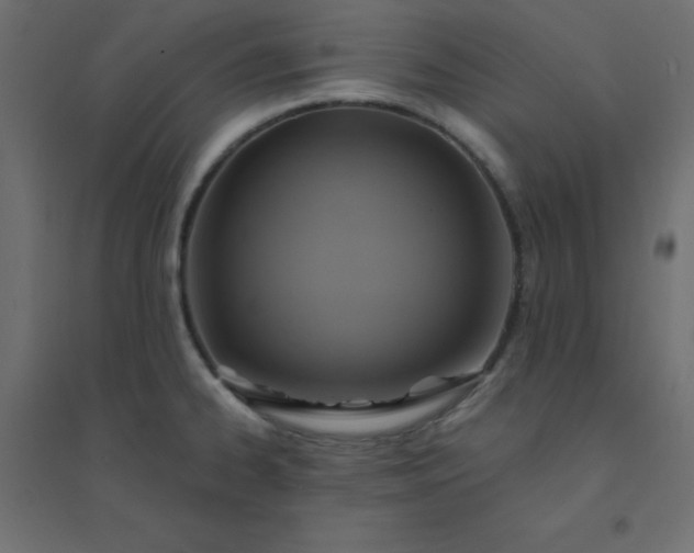 X0000094461334200711211532