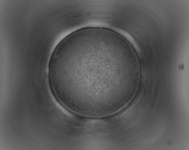 X0000094461335200711211532