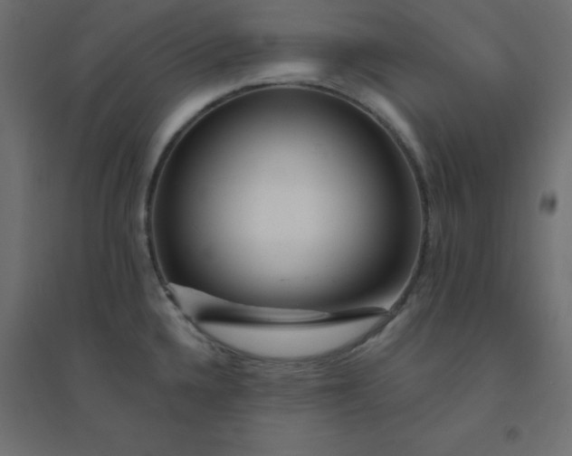 X0000094461336200711211532
