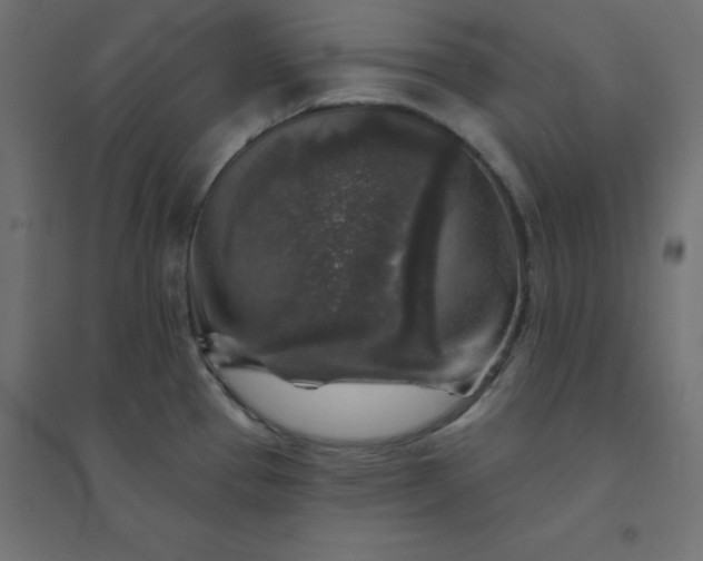 X0000094461337200711211532