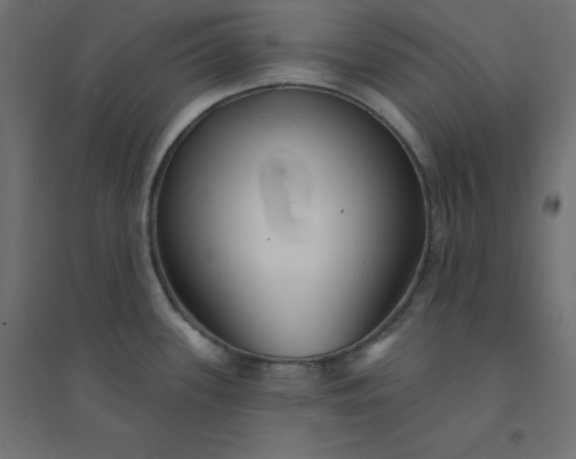X0000094461339200711211532