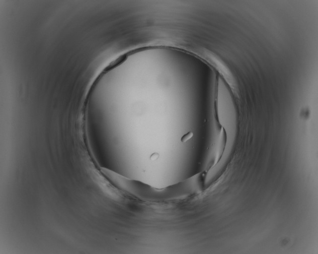 X0000094461340200711211532