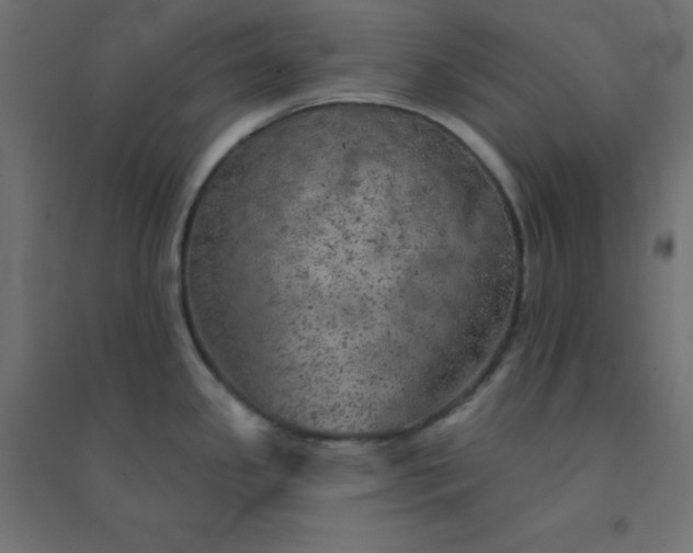 X0000094461341200711211532