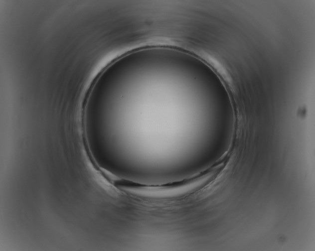 X0000094461342200711211532