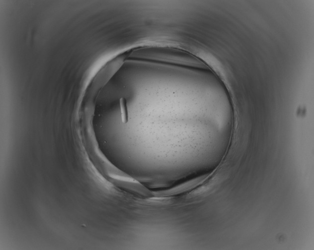 X0000094461344200711211532