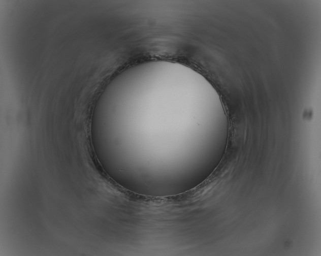 X0000094461345200711211531