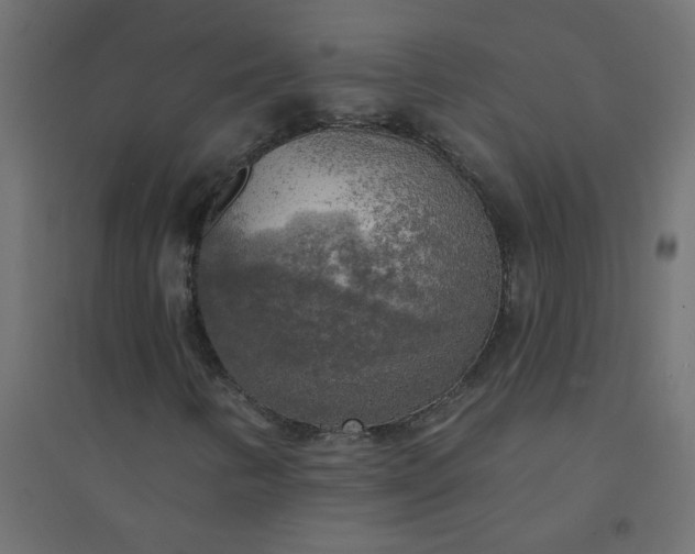 X0000094461346200711211531