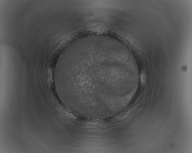 X0000094461347200711211531