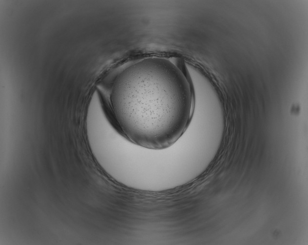 X0000094461348200711211531