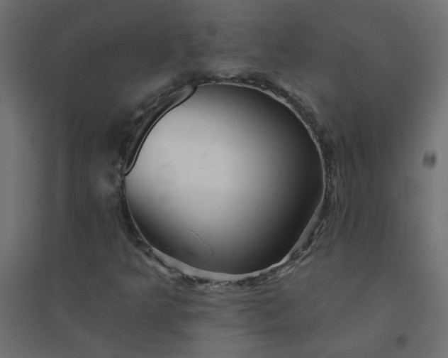 X0000094461349200711211531