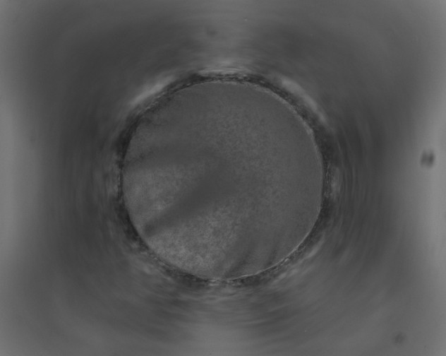 X0000094461350200711211531
