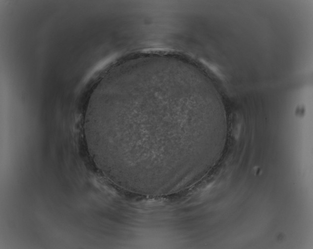 X0000094461351200711211531