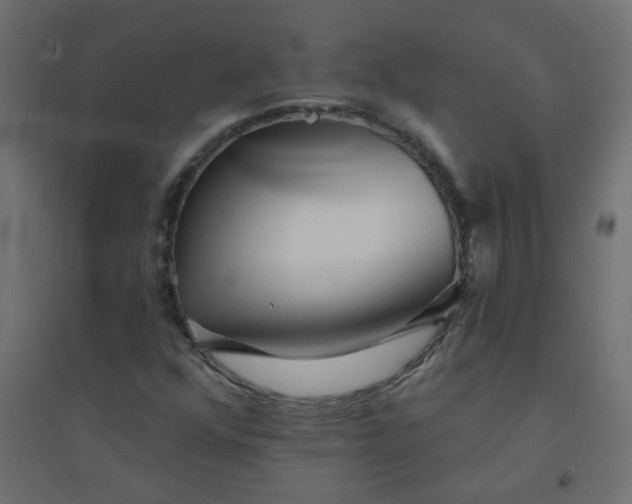 X0000094461352200711211531