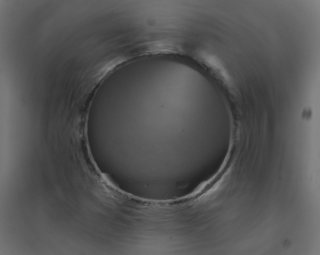X0000094461353200711211531