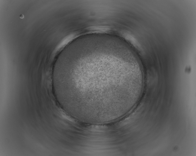 X0000094461354200711211531