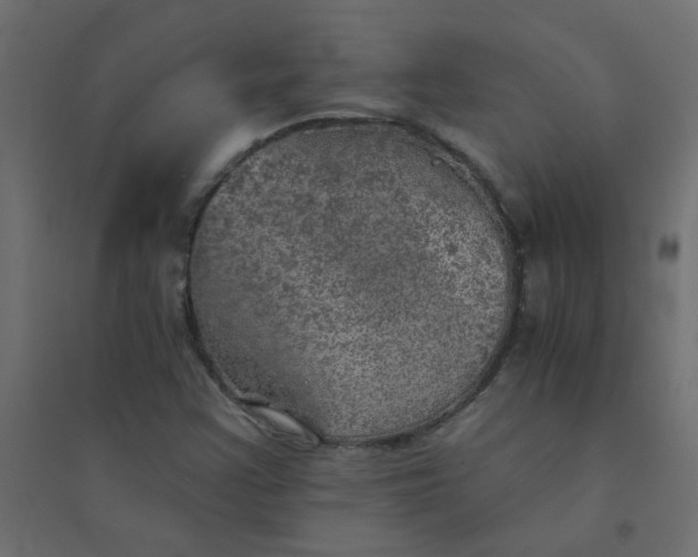 X0000094461355200711211531