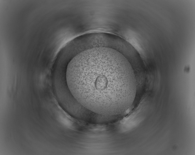 X0000094461356200711211531
