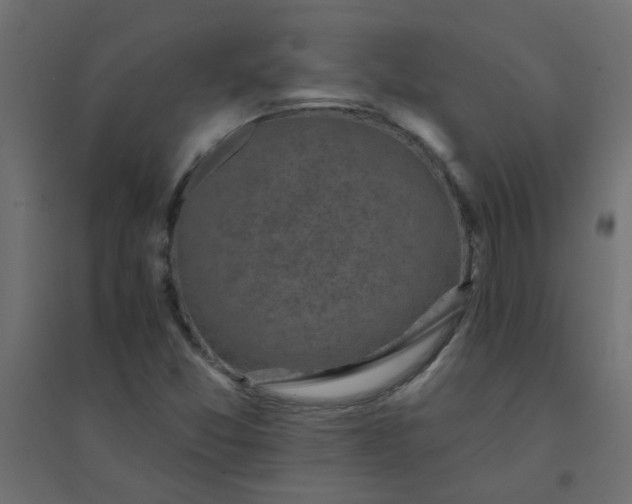 X0000094461357200711211531