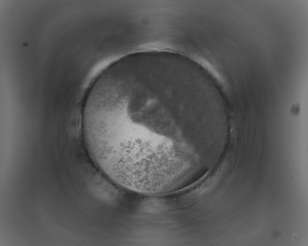 X0000094461358200711211531
