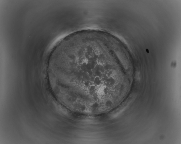 X0000094461359200711211531