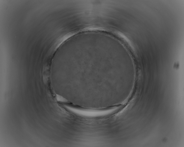 X0000094461361200711211531