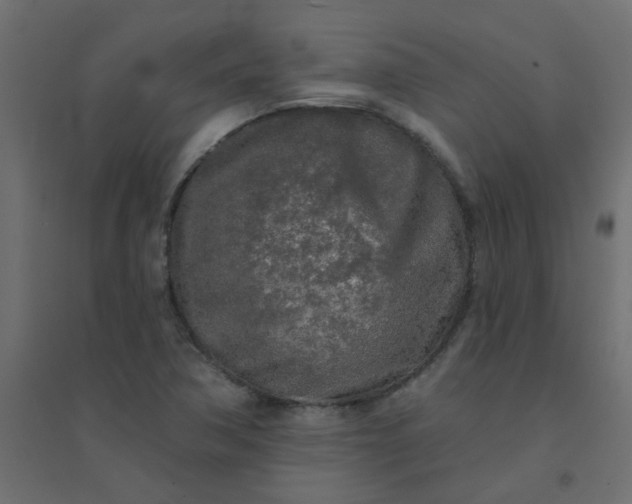 X0000094461362200711211531