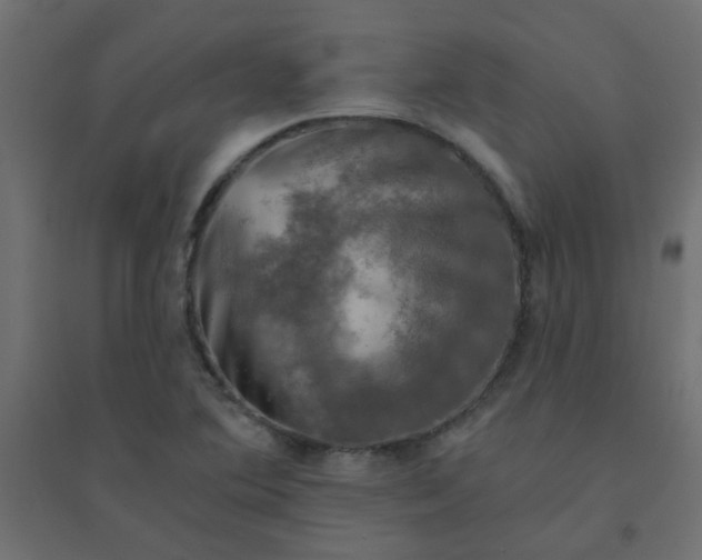 X0000094461364200711211531