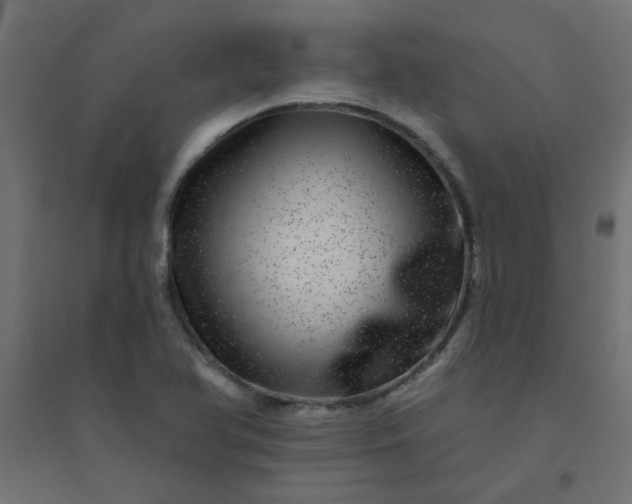 X0000094461366200711211531