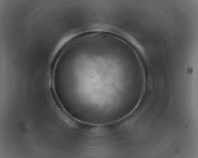 X0000094461368200711211531