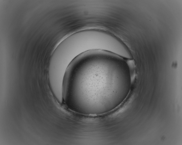 X0000094461369200711211531
