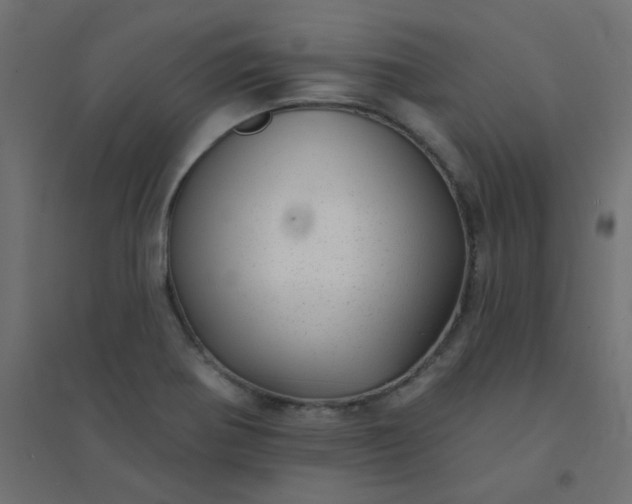X0000094461370200711211531