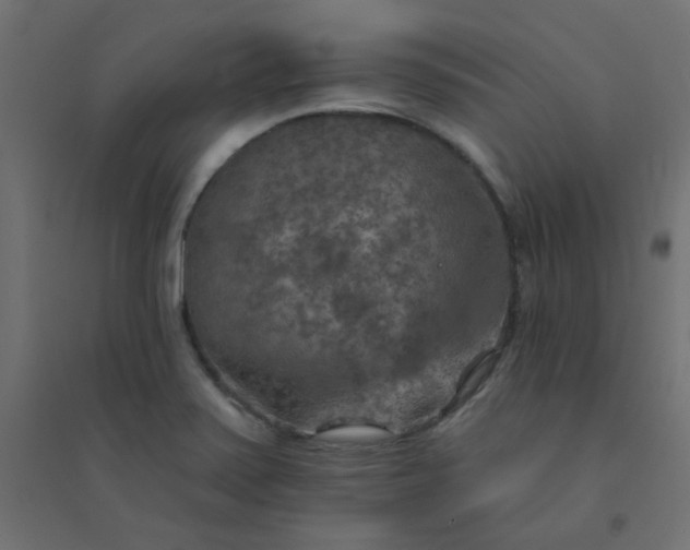 X0000094461371200711211531