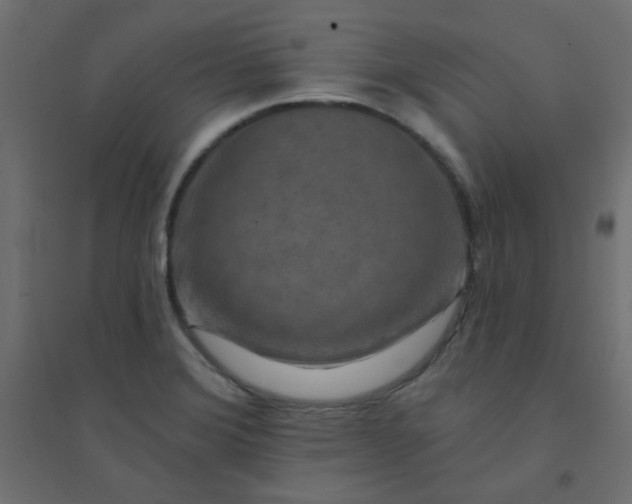 X0000094461372200711211531
