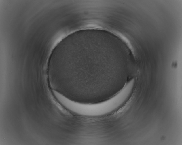 X0000094461373200711211531