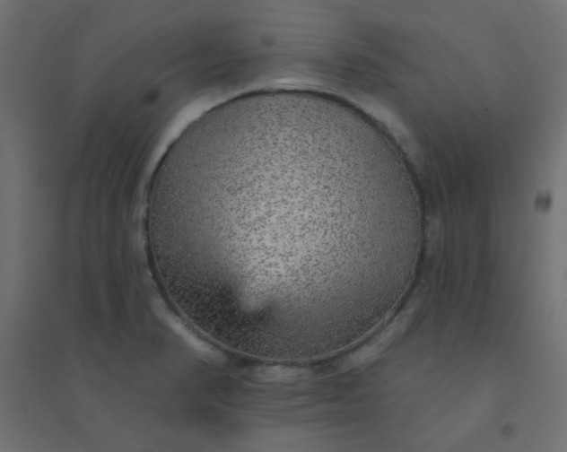 X0000094461374200711211531