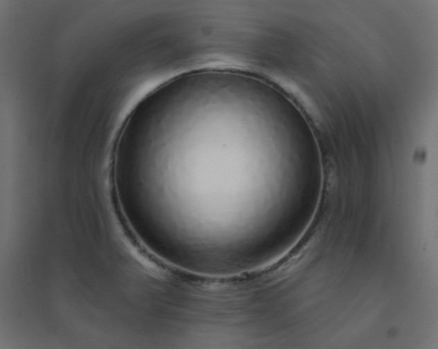 X0000094461375200711211531