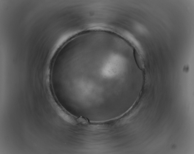 X0000094461376200711211531