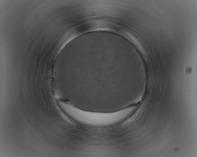 X0000094461377200711211531
