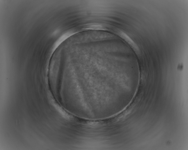 X0000094461378200711211531