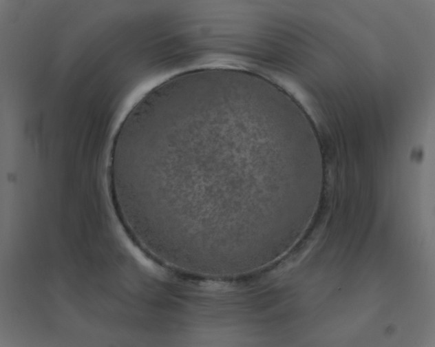 X0000094461379200711211531